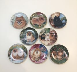 Pomeranian Collector Plates