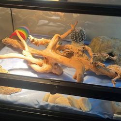 25 Gallon Tank