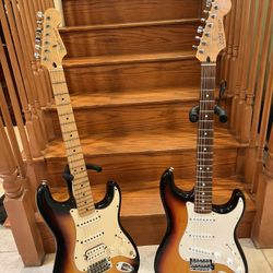 Fender MIM Stratocasters HSS SSS