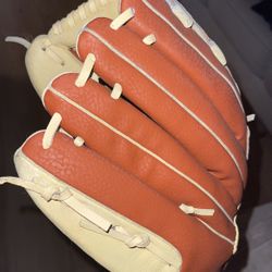 DSG Baseball Glove