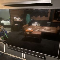 TV and Speaker (NEED GONE ASAP)