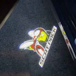Dodge Charger Door light 