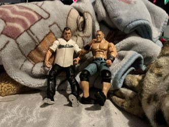 John ceana and Shane McMahon