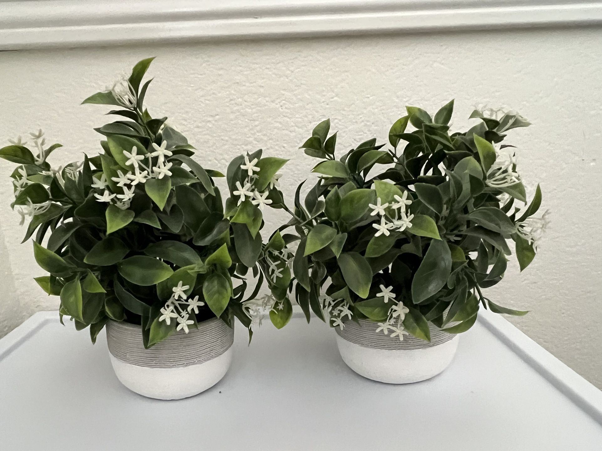 Set Of 2 Fake Plants  
