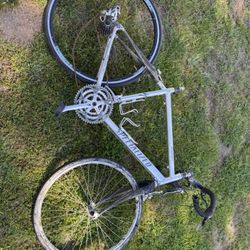 Specialized Sequoia Road Bike Project