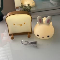 Light Up Bread And Bunny. (Check description)