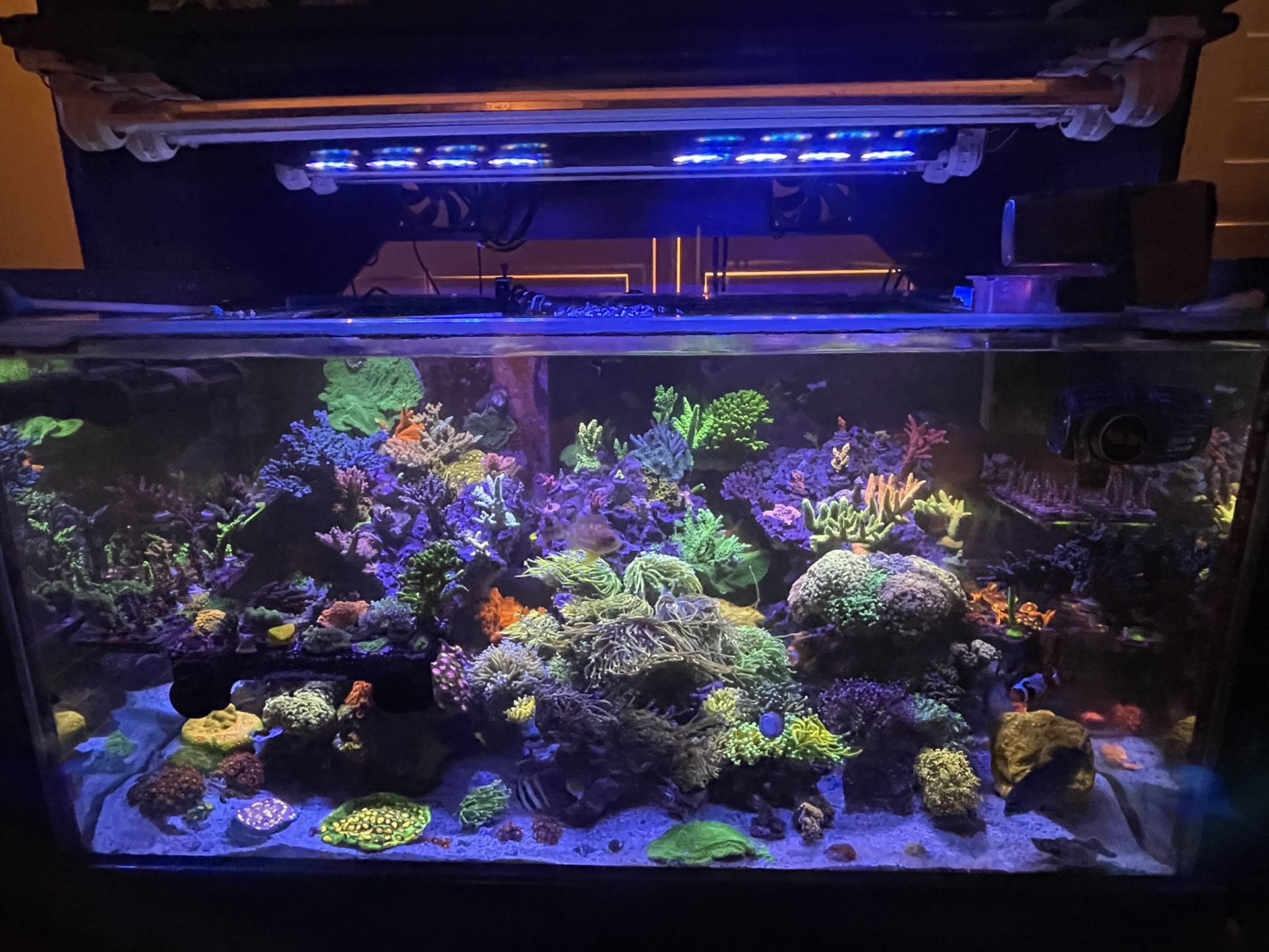 PLASTIC Aquarium Decorations