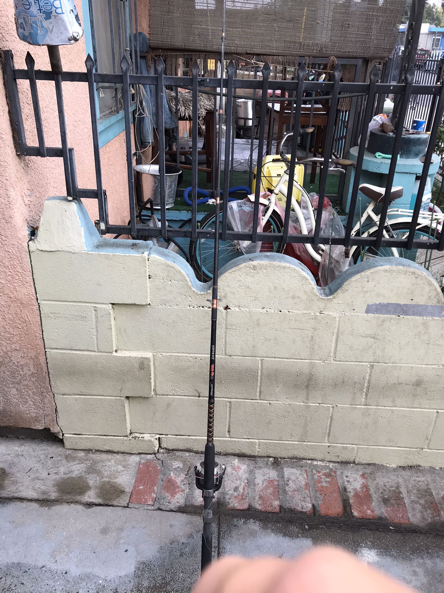 Ugly stik fishing pole and reel