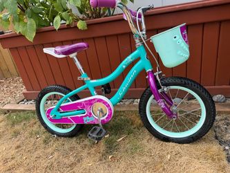Schwinn Elm Bike, 14 Inch Bike for Kids