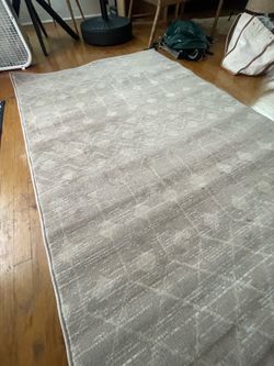 Area Rug (Brand New!)