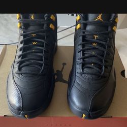 Jordan 12’s