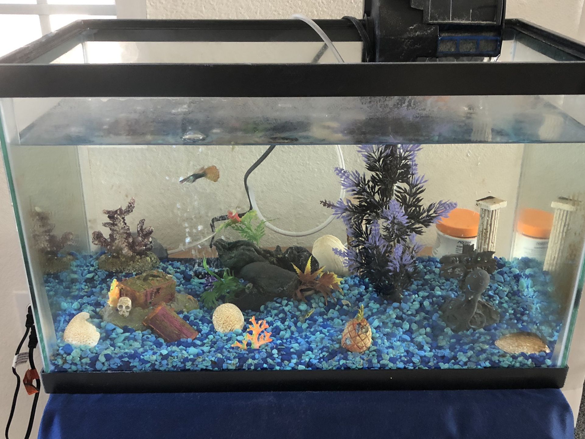 Aquarium 10 gallon with pump, filter, aerator & fish Included