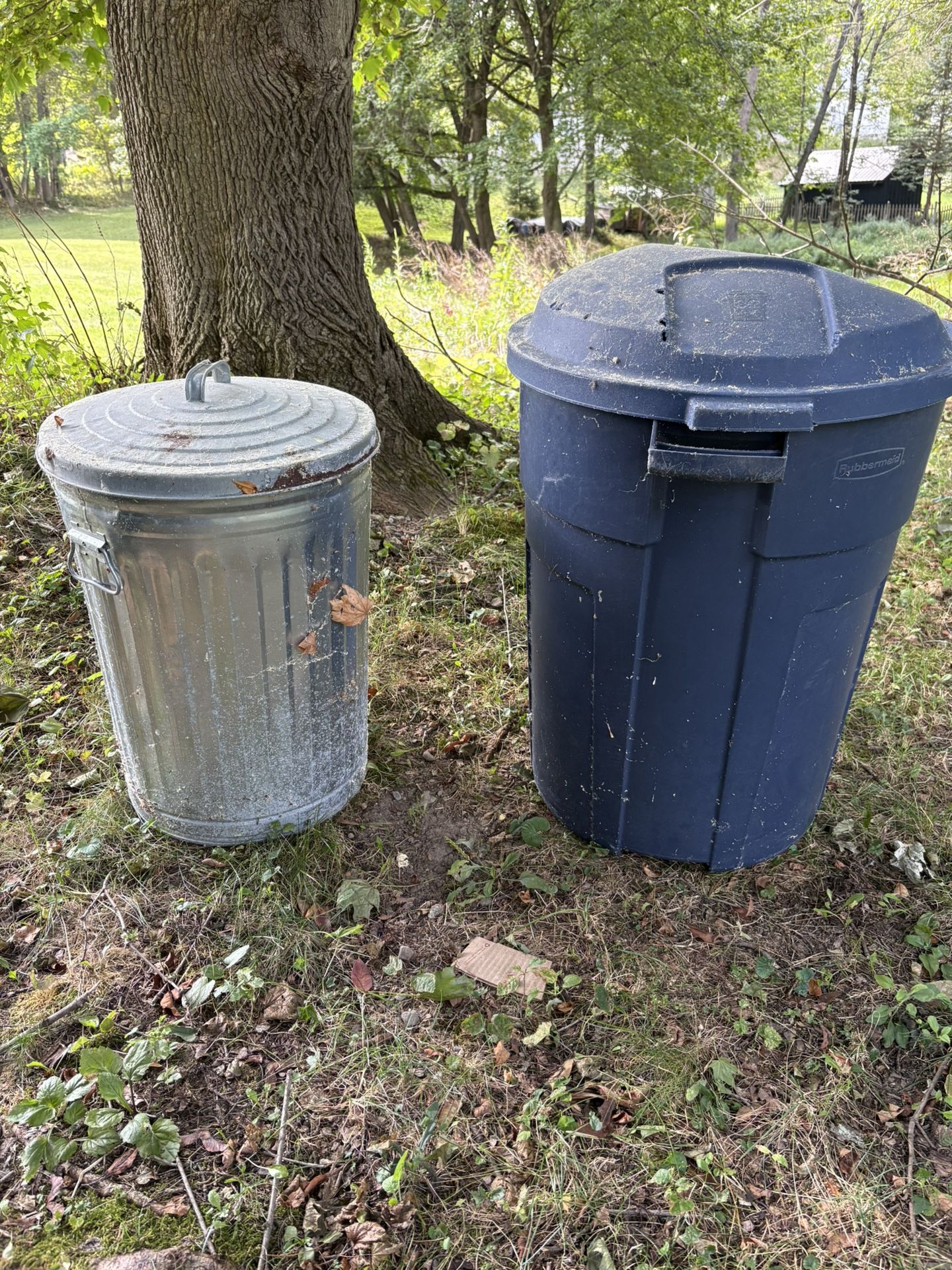 Yard Bins—FREE
