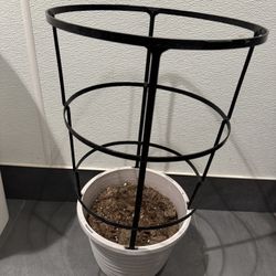 3 plant pots, all for $20!