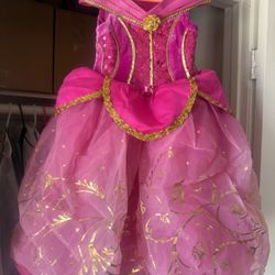 Girls Sleeping Beauty Dress