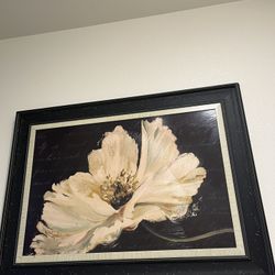 Beautiful Flower Picture 