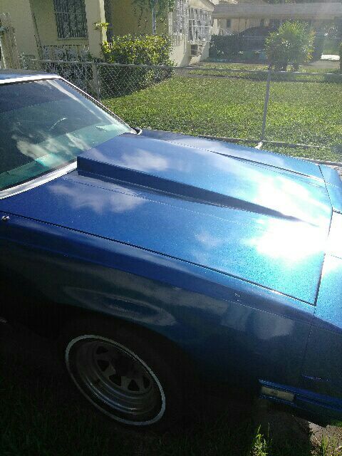Oldsmobile Cutlass Cowl Hood gbody