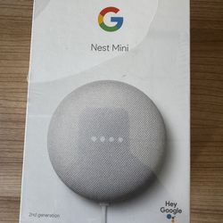 Google Nest Mini
