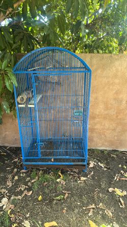 Large bird cage