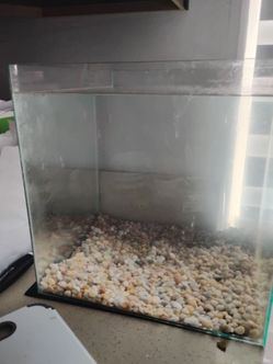Fish tank