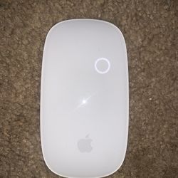 Apple Mouse