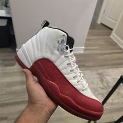 Jordan 12 