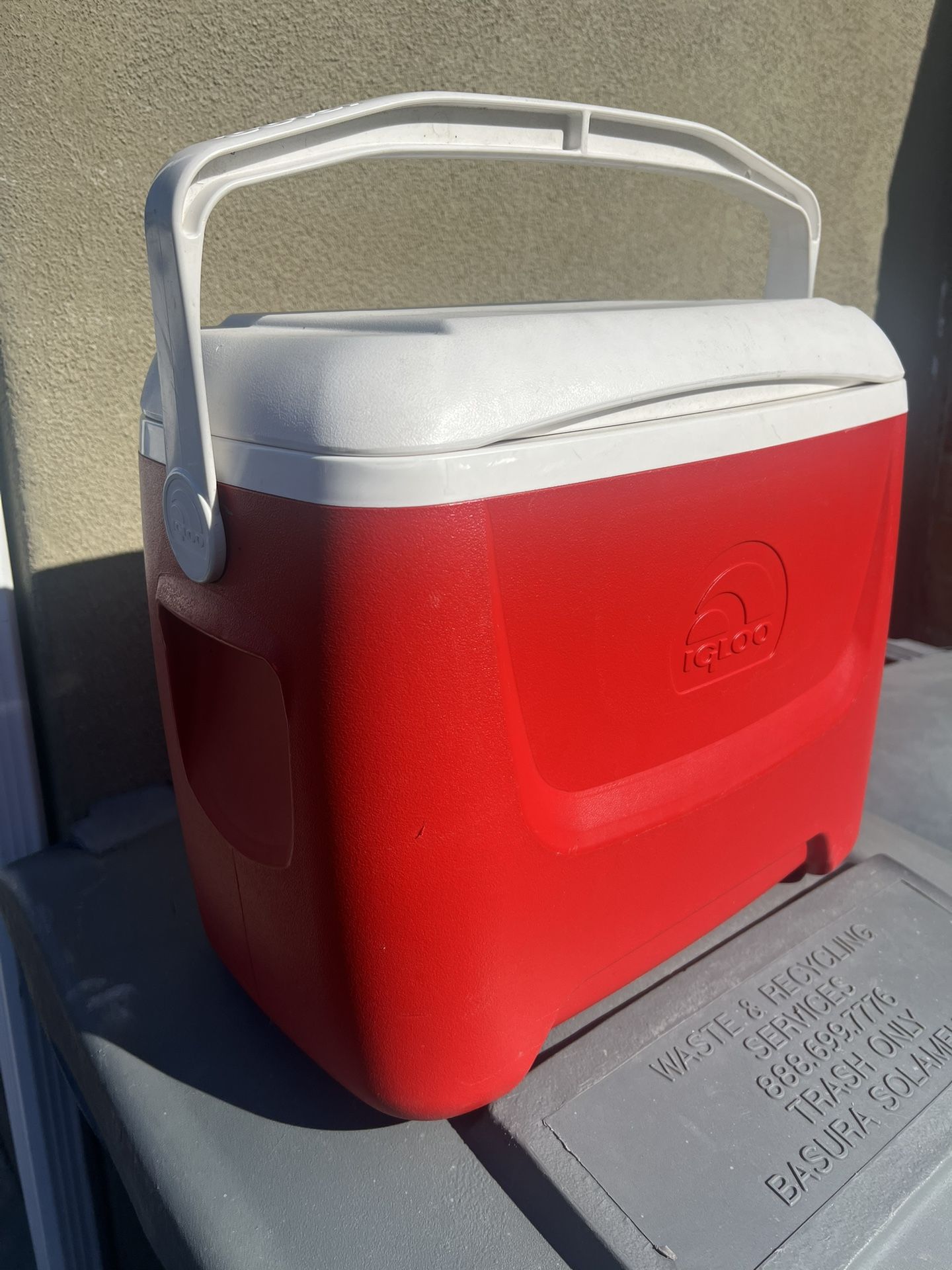 Igloo Cooler