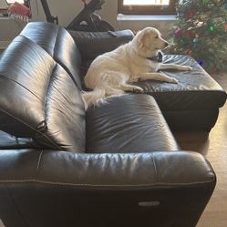 Adjustable Leather loveseat