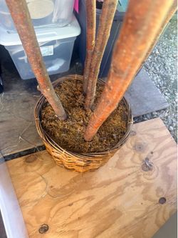 artificial plant
