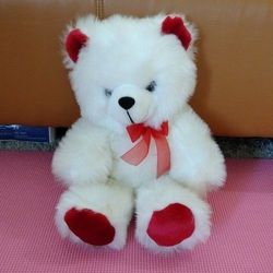 Toy