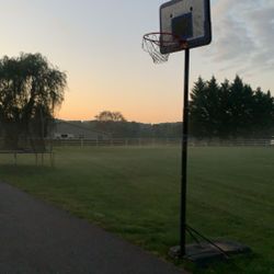 Basketball Hoop Perfect Condition Just Looking To Get Rid Of 