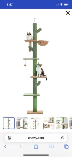 Floor To Ceiling Cat Tree
