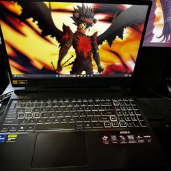 Gaming Laptop, Acer Nitro 5