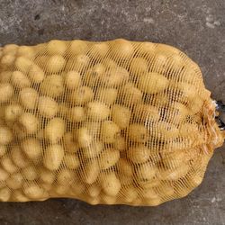 50 lbs Back  Baby's Potatoes  ( Delivery Include  )