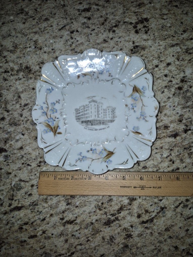 Vintage G Richer & Co, The Evans, Hot Springs South Dakota Plate