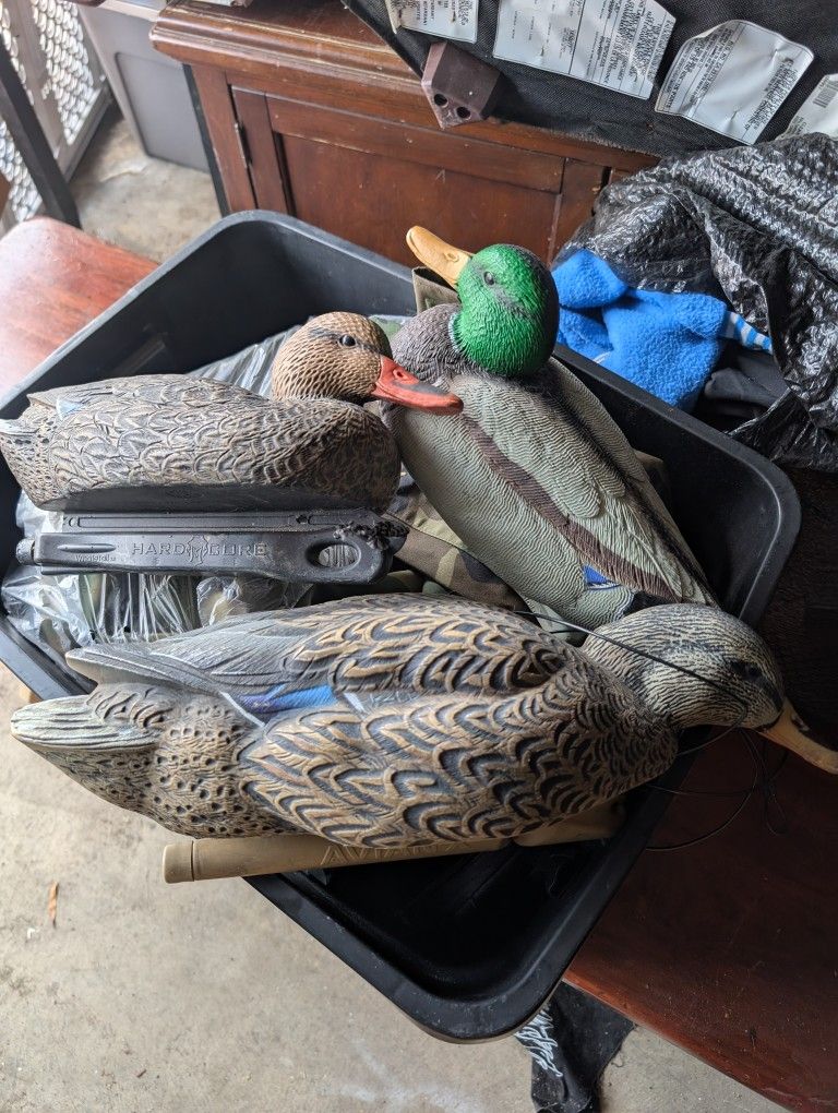 Duck Decoys