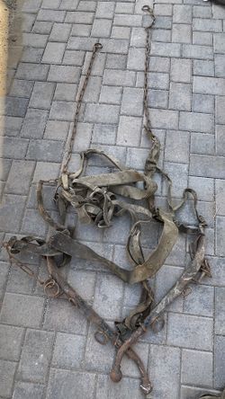 Horse Tack