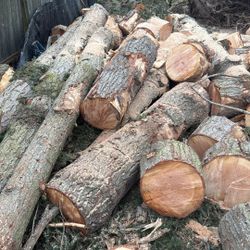 Firewood 