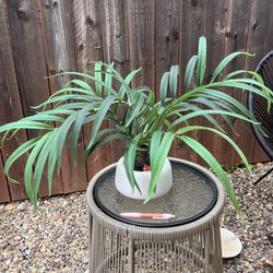 Outdoor Fake Plant 
