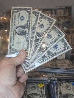 5 Silver Dollars Blue Seal