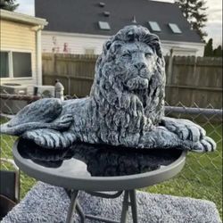 Stone Color, Lion Statue