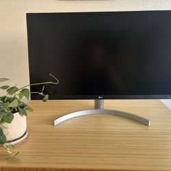LG Computer Monitor