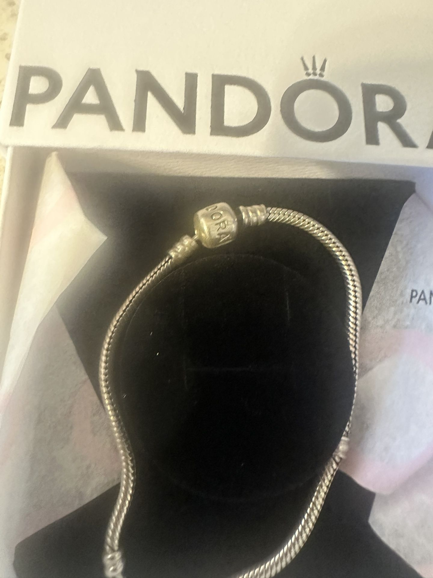 Pandora Charm Braclet 