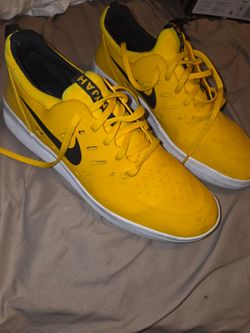 Nike shoes  nyjah size 9.