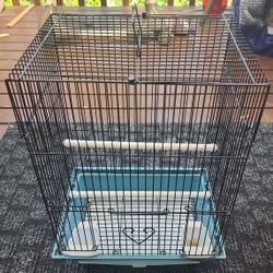 Brid Cage
