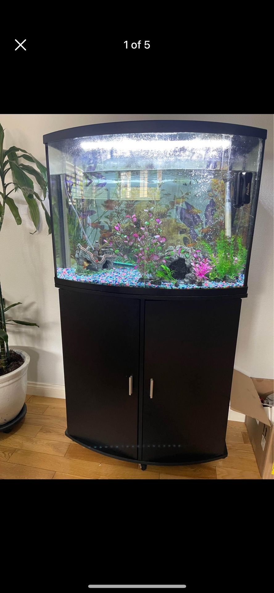 36 Gallon Fish tank with ALL ACCESSORIES