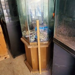 35 Gal. Hexagon Aquarium W/wooden Stand $60