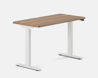 Branch Furniture Standing Desk - 48x30 - Walnut / White