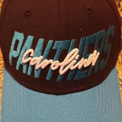 Carolina Panthers Hat Cap Size Small Medium New ERA Newton Young 
