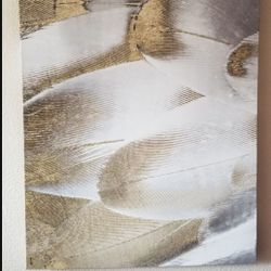 Wall Art, Wall Decor, Royal Feathers 60" × 40" - The Oliver Gal Artist Co.